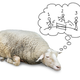 Illustration for article titled Counting Sheep Doesn't Actually Work, Just a Heads Up
